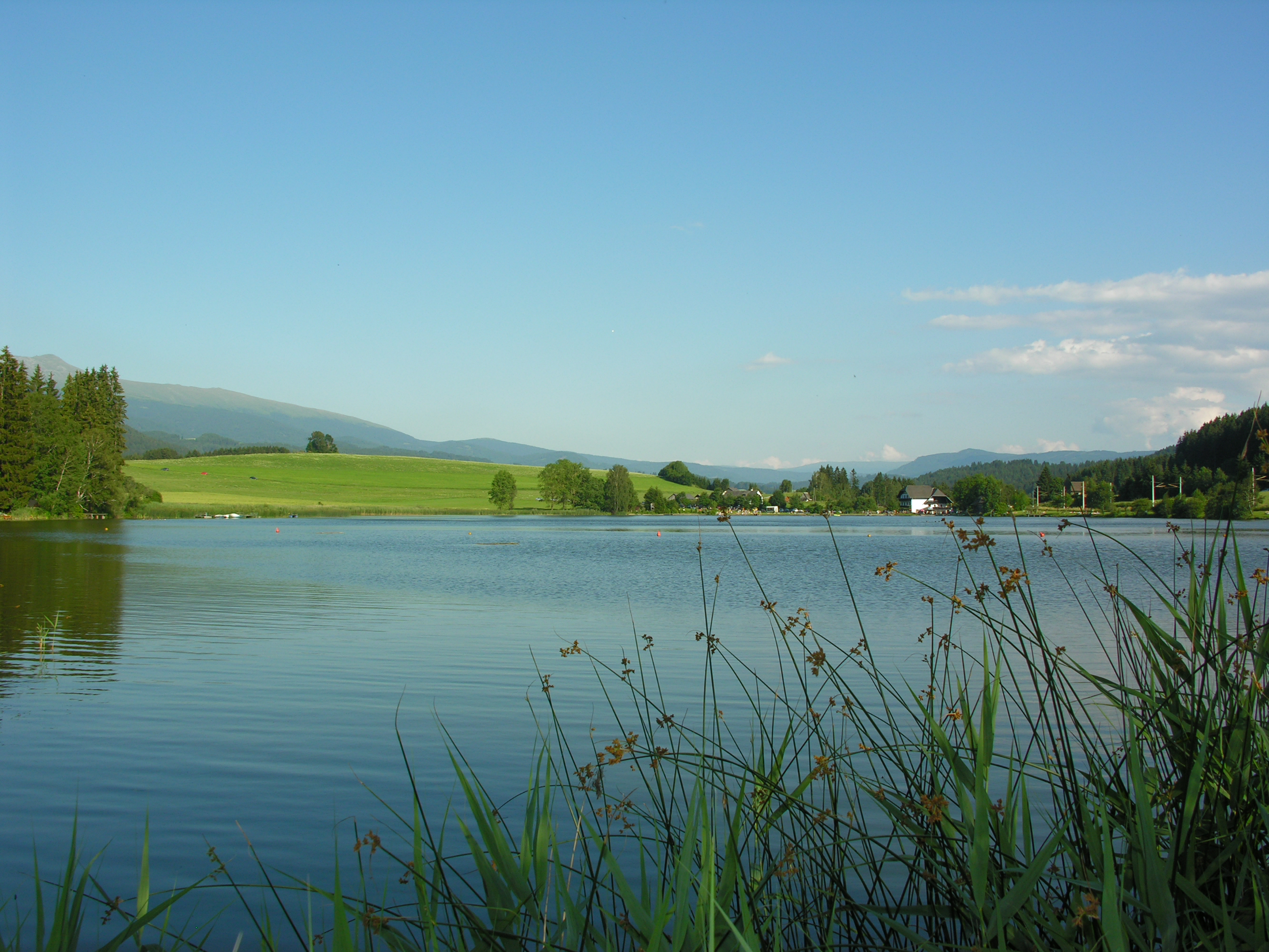Furtner Teich Naturpark